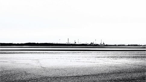 Estuary